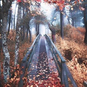 Meet your Posher, Carly